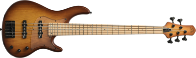 Maple / Brown-Burst