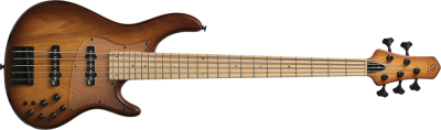 Maple / Brown-Burst