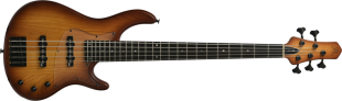 Black Wood / Brown-Burst