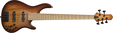 Maple / Brown-Burst