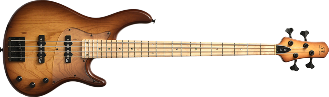 Maple / Brown-Burst